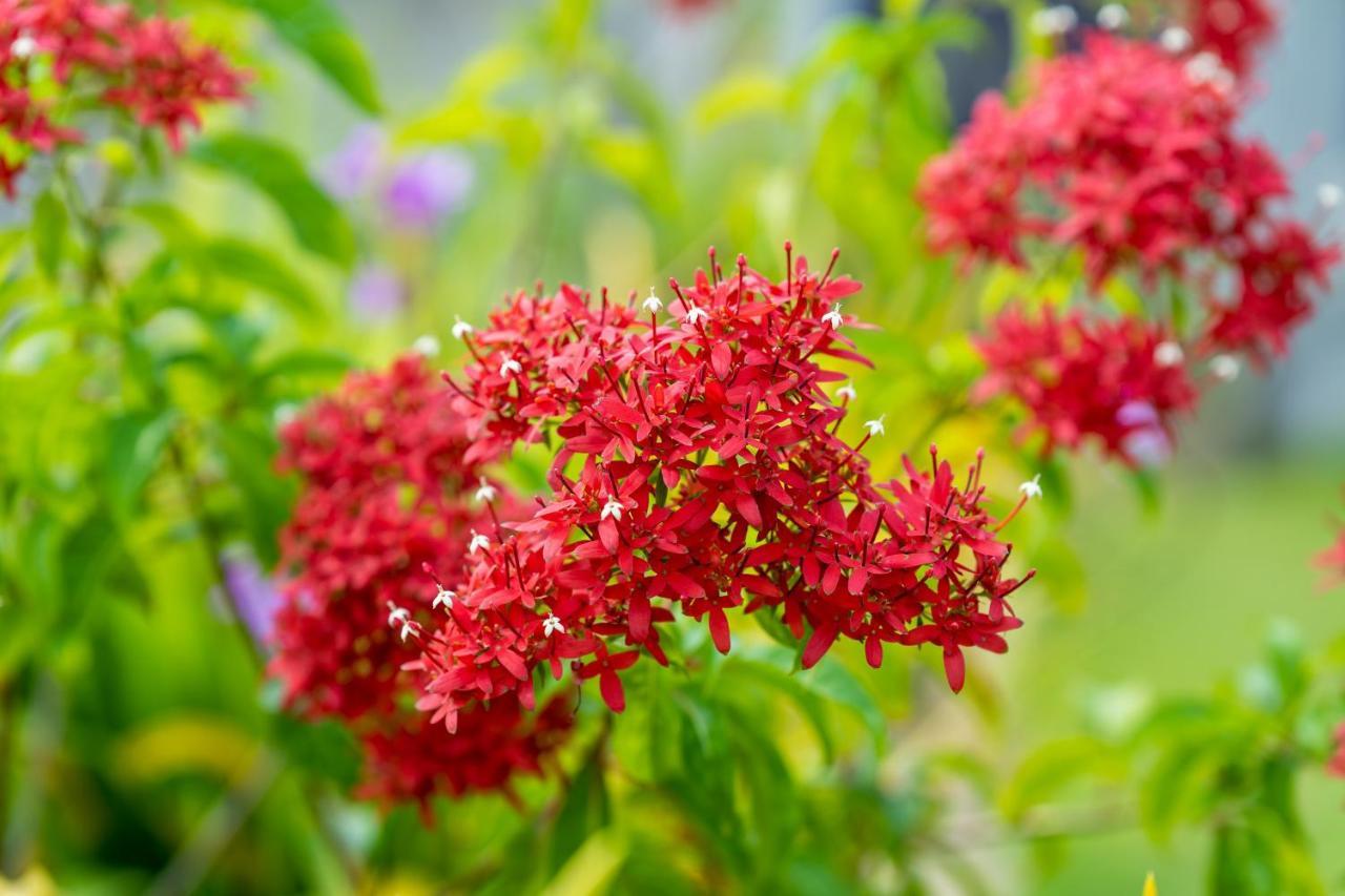 Kapaliya Unawatuna Ngoại thất bức ảnh