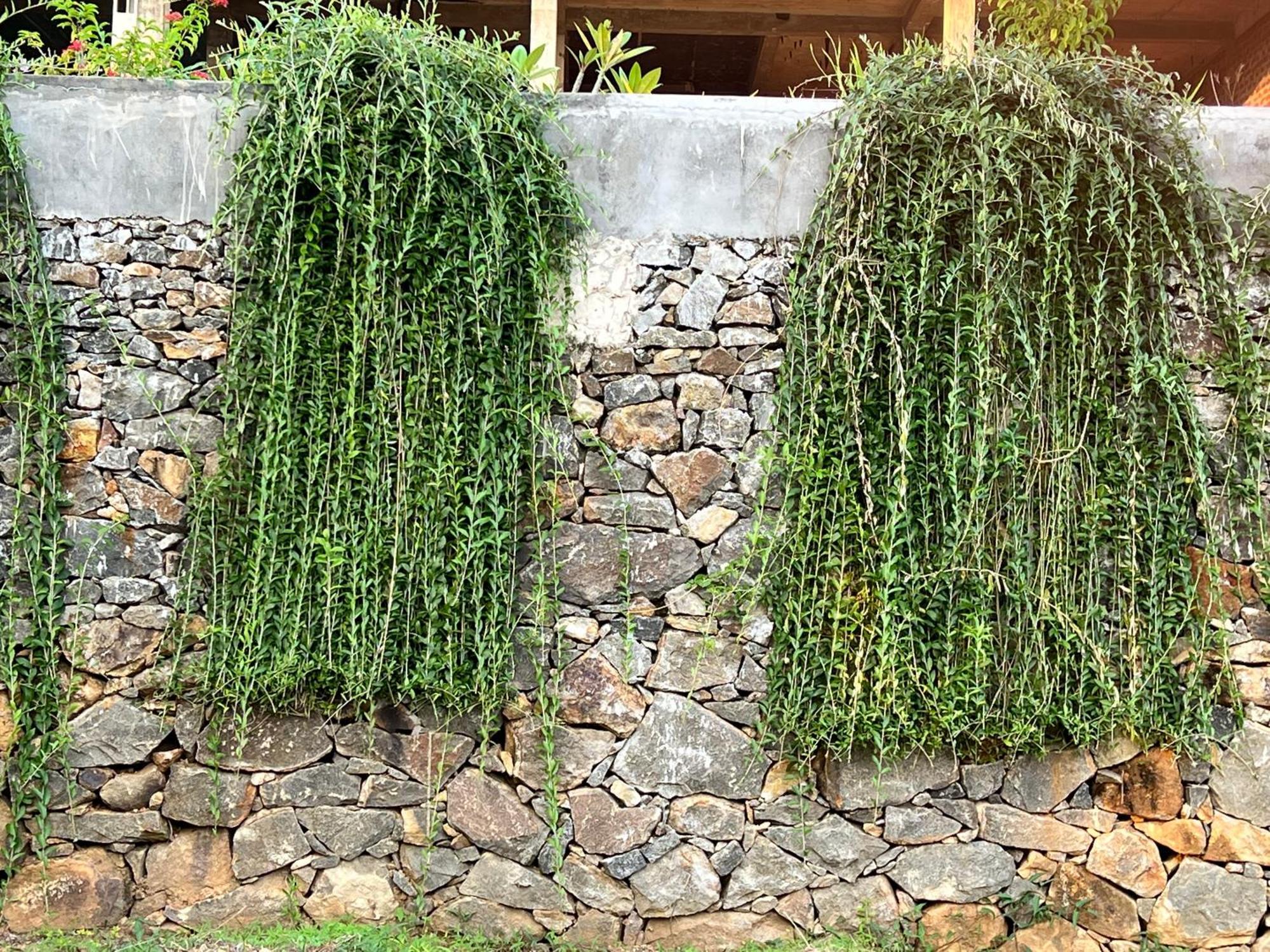 Kapaliya Unawatuna Ngoại thất bức ảnh